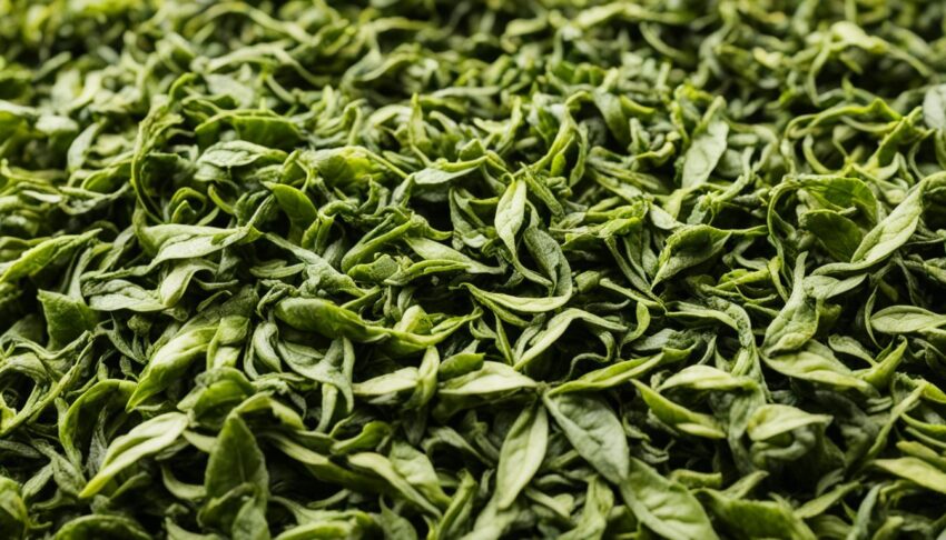 The Impact of Processing on Tea Aroma Compounds
