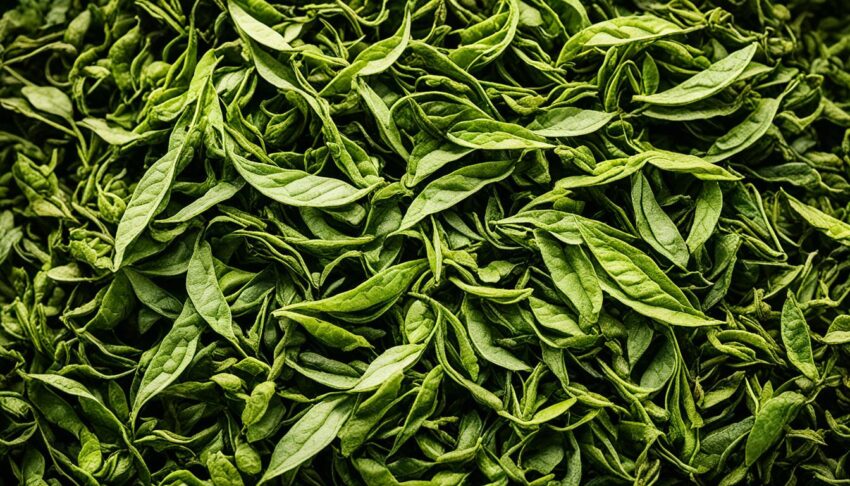 The Influence of Processing on Tea Caffeine Levels